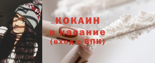 дмт Нея