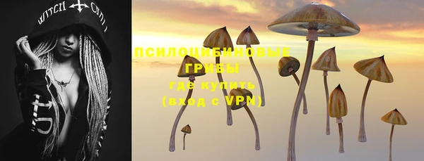 МДПВ Нефтегорск