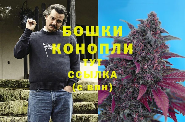 МДПВ Нефтегорск