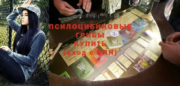 МДПВ Нефтегорск
