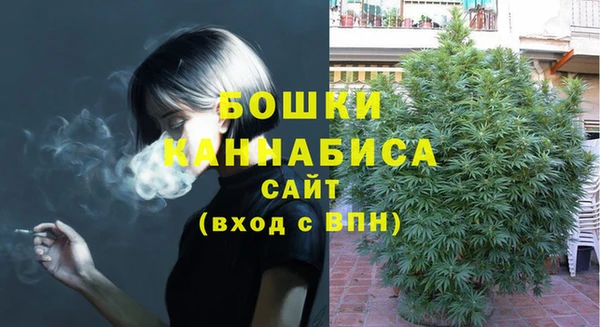 дмт Нея