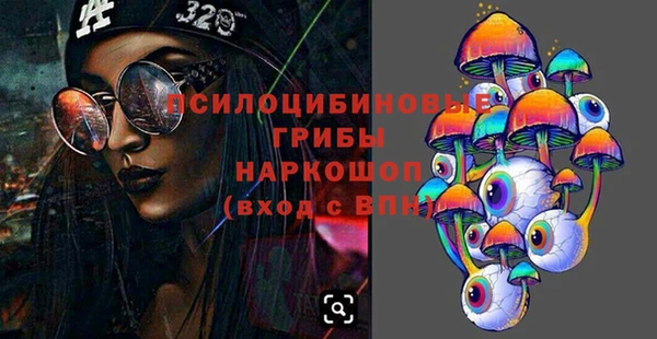 МДПВ Нефтегорск