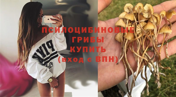 дмт Нея
