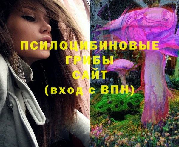 дмт Нея