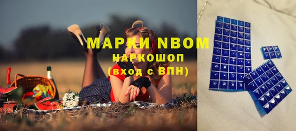 дмт Нея