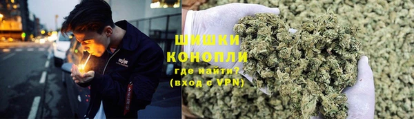 МДПВ Нефтегорск