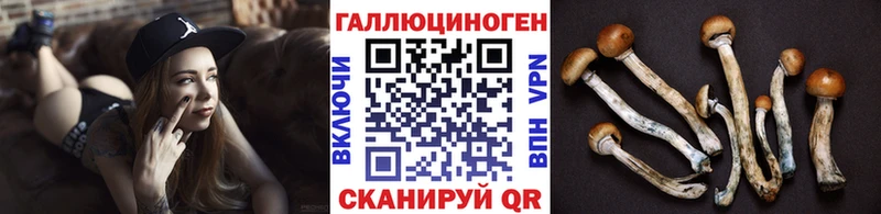 Купить где  Соль-Илецк  Галлюциногенные грибы Psilocybine cubensis 